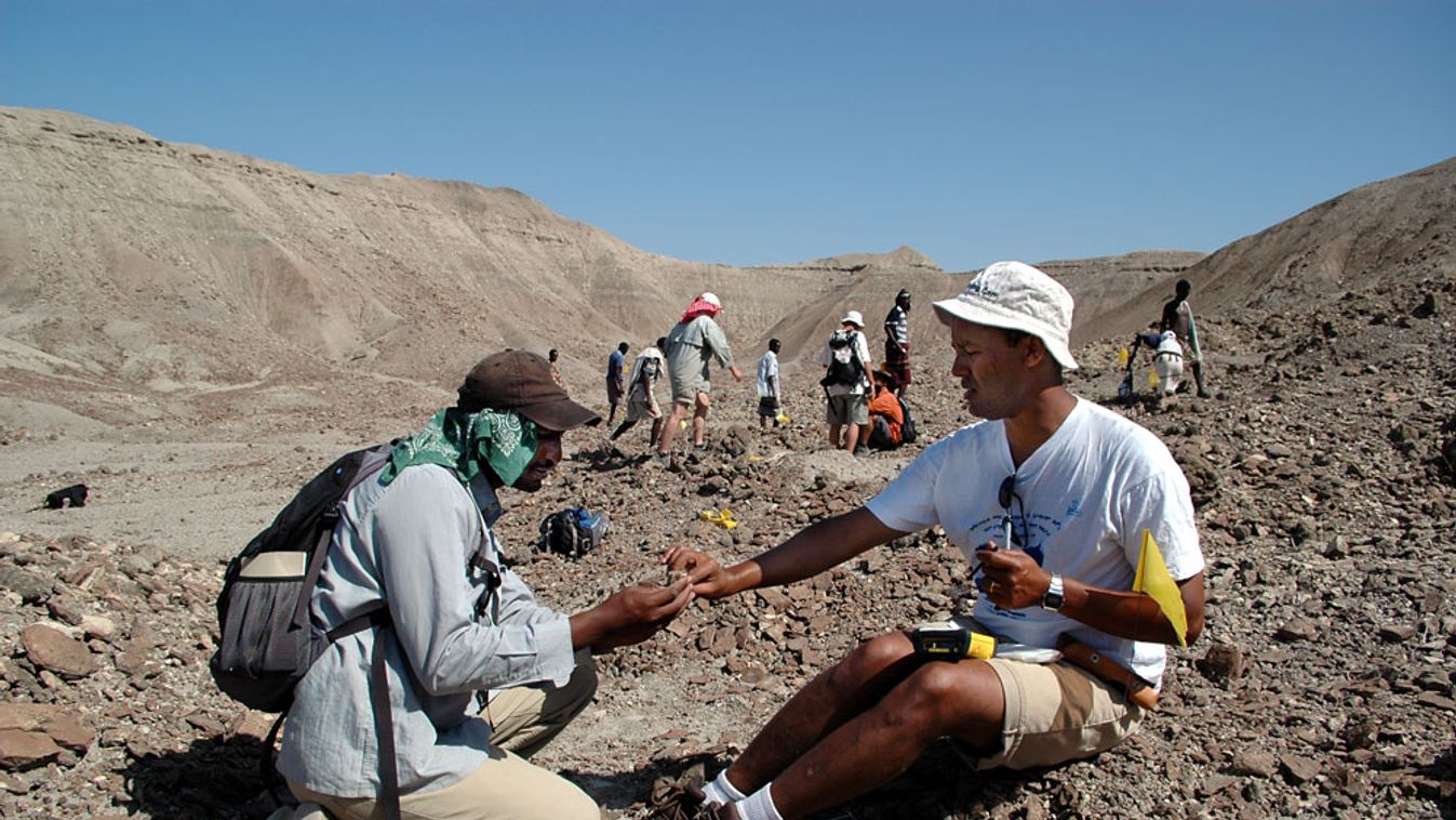 Dr. Zeray Alemseged (jobbra) az etiópiai ásatási helyen