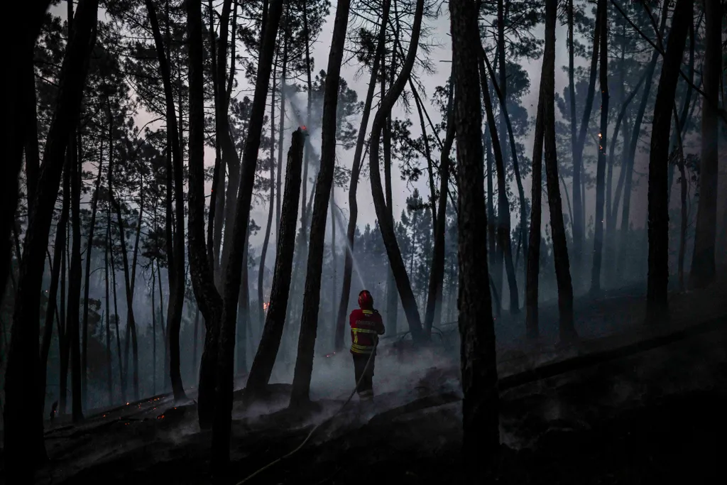 Portugália, erdőtűz, 2022.07.10. tűzoltó 