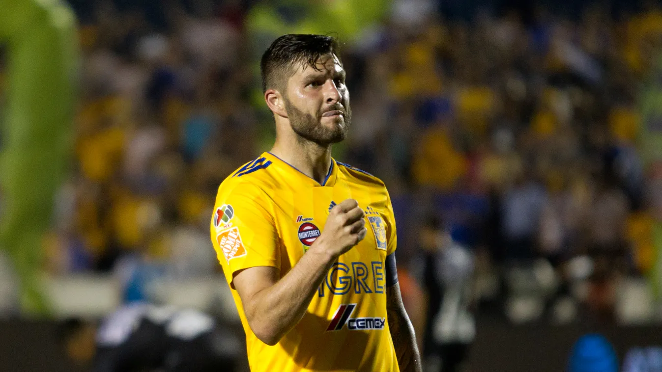 Tigres vs Necaxa for a Mexican Clausura 2019 tournament football match. fbl Horizontal 