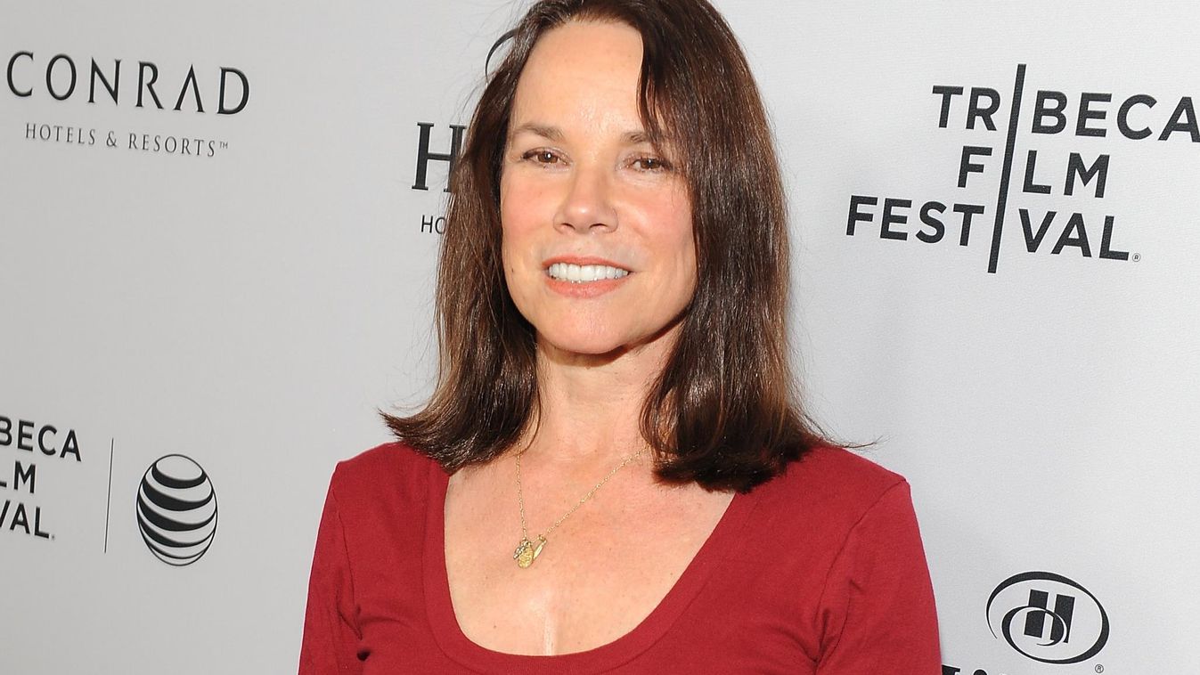 2014 Tribeca Film Festival LA Kickoff Reception At The Beverly Hilton GettyImageRank3 RECEPTION VERTICAL USA California Beverly Hills Movie ARRIVAL Launch Event Arts Culture and Entertainment Celebrities The Beverly Hilton Hotel Barbara Hershey Tribeca Fi