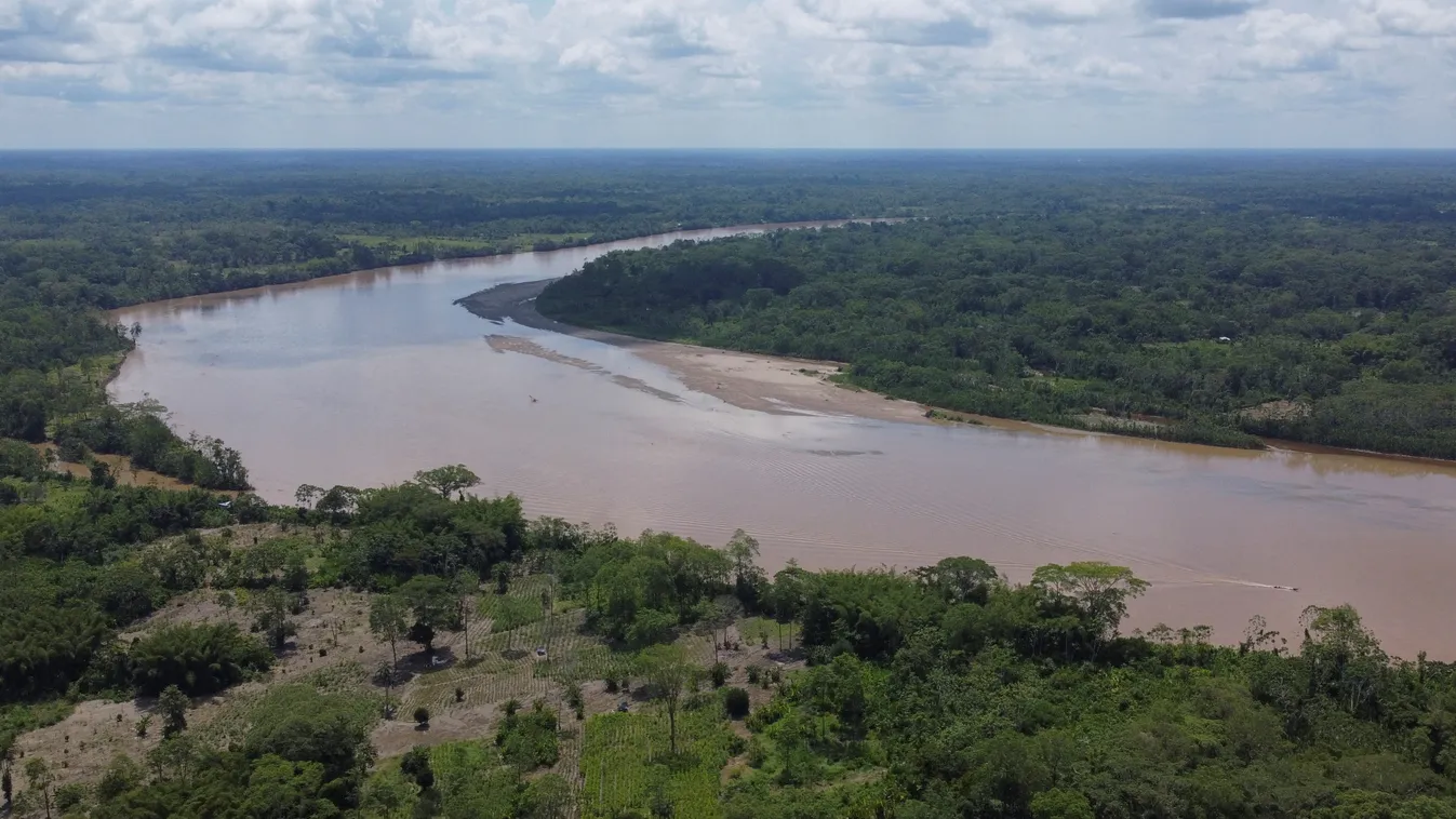 Horizontal LATIN AMERICA ENVIRONMENT AMAZONIAN FOREST NATURE ILLUSTRATION AERIAL VIEW 