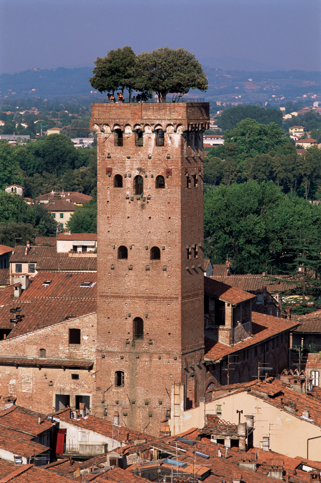 torre Guinigi tower torony 