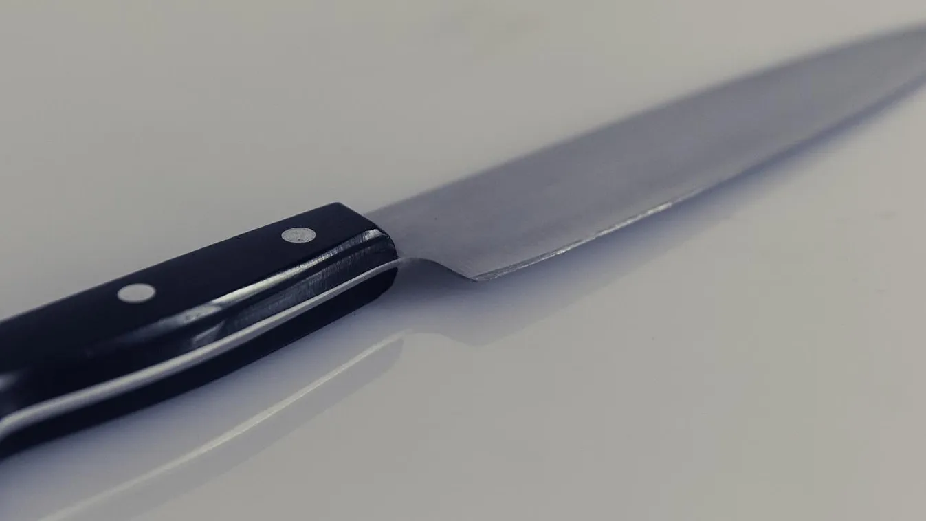 kés konyhakés illusztráció 