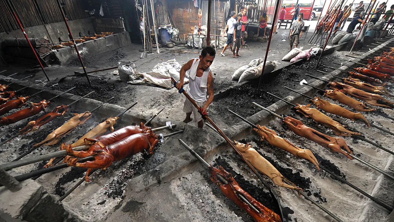 lakoma, a történelem legdrágább lakomái, disznósült készül Manilában
