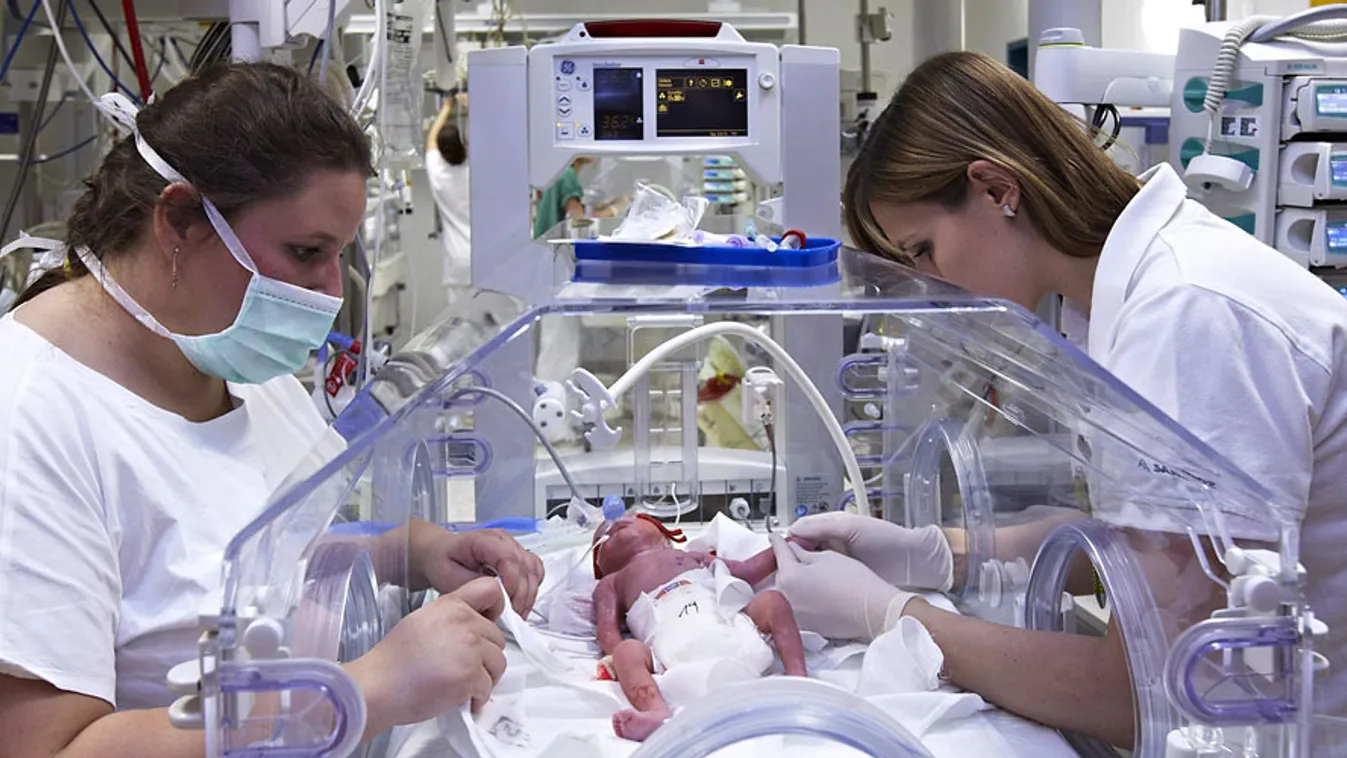 
A prágai Podoli kórház által közzétett felvétel a huszonhárom éves cseh Alexandra Kinova ötös  ikreinek egyikéről egy inkubátorban, ötös ikrek, iker
