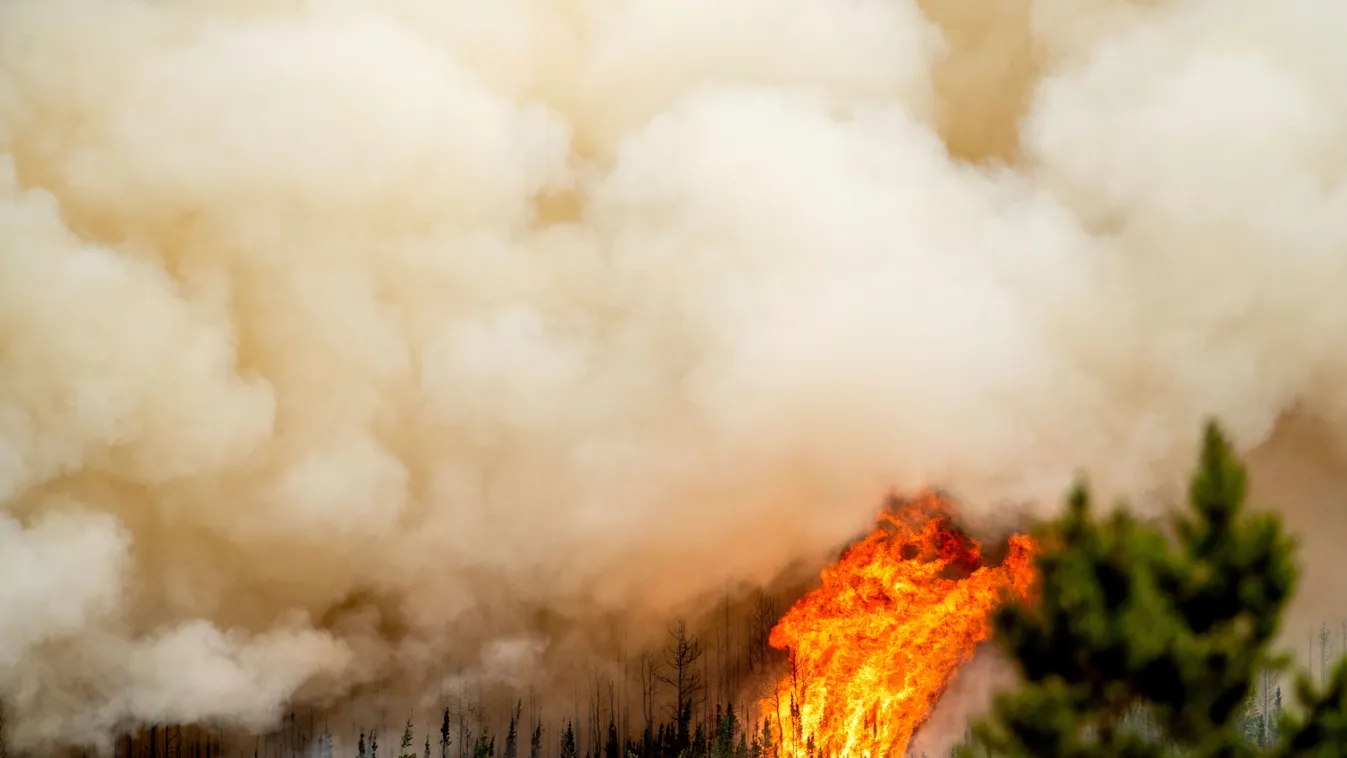 erdőtűz, tűz, erdő, Kanada, 
Erdőtűz pusztít a Brit Columbia északkeleti részén fekvő Fort St. John város közelében 2023. július 2-án. Január óta hatmillió hektárnyi erdő égett le Kanadában és több mint 100 ezer embernek kellett már elhagynia az otthoná 