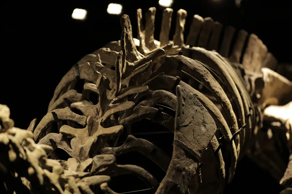 355 millió forint árverezés 150 millió éves dínó csontváz  150-million-year-old Camptosaurus skeleton ''Barry'' is sold for 930.000 euro in Paris Horizontal 