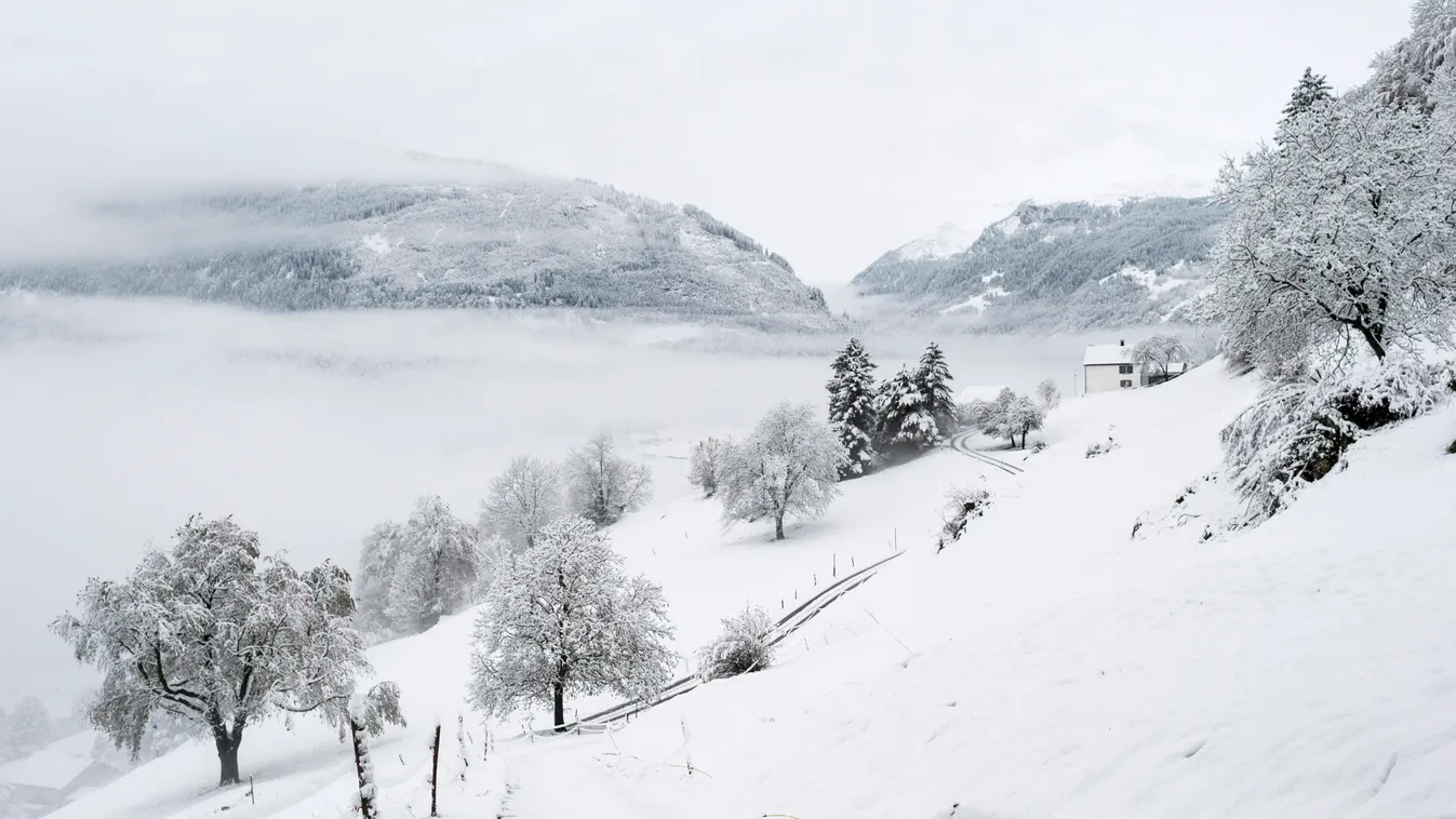 Sargans, 2014. november 6.
Hólepte táj a kelet-svájci Sargansban 2014. november 6-án. (MTI/EPA/Gian Ehrenzeller) 