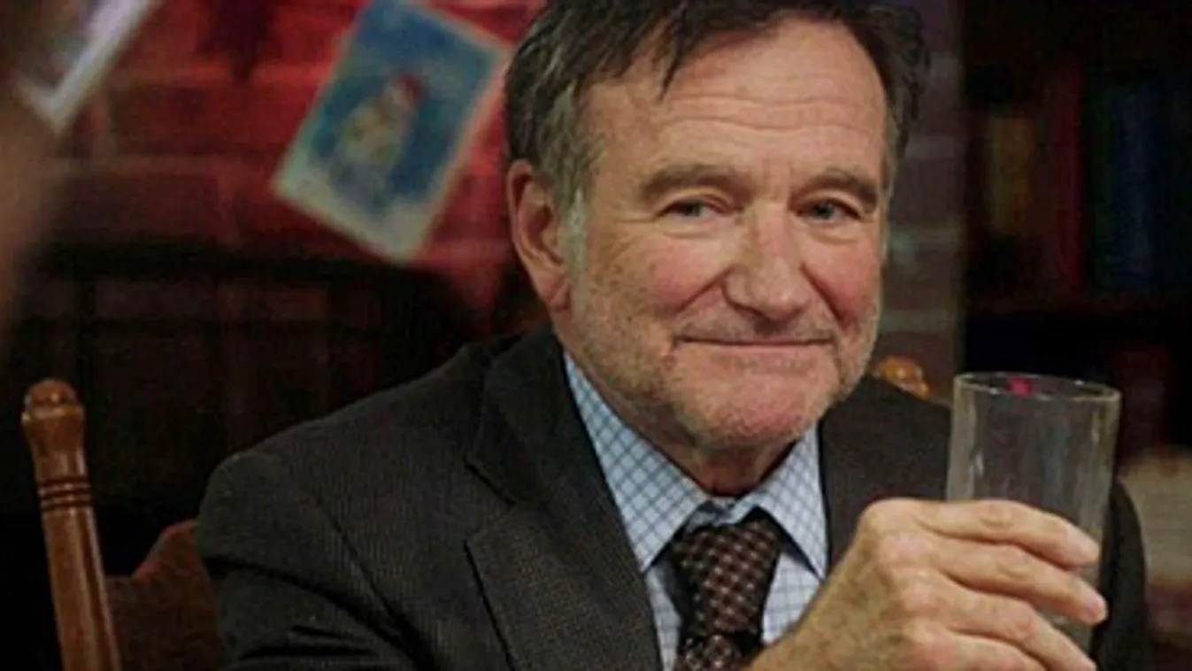 Robin Williams 