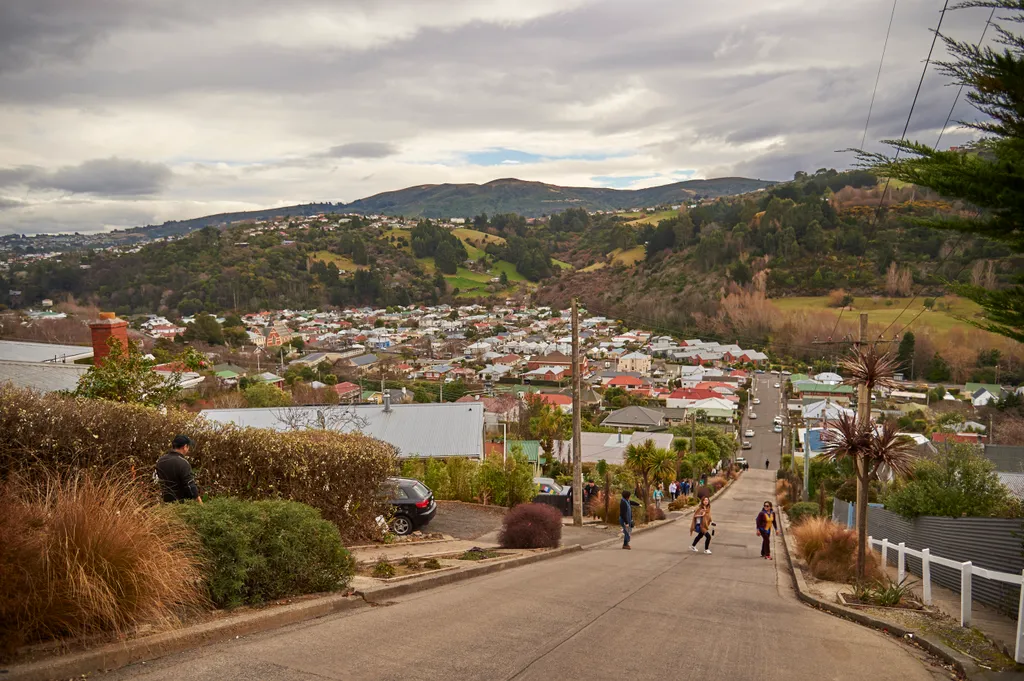 Baldwin Street Dunedin 