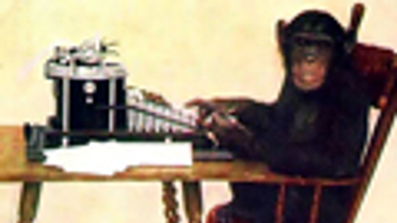 majom, írógép