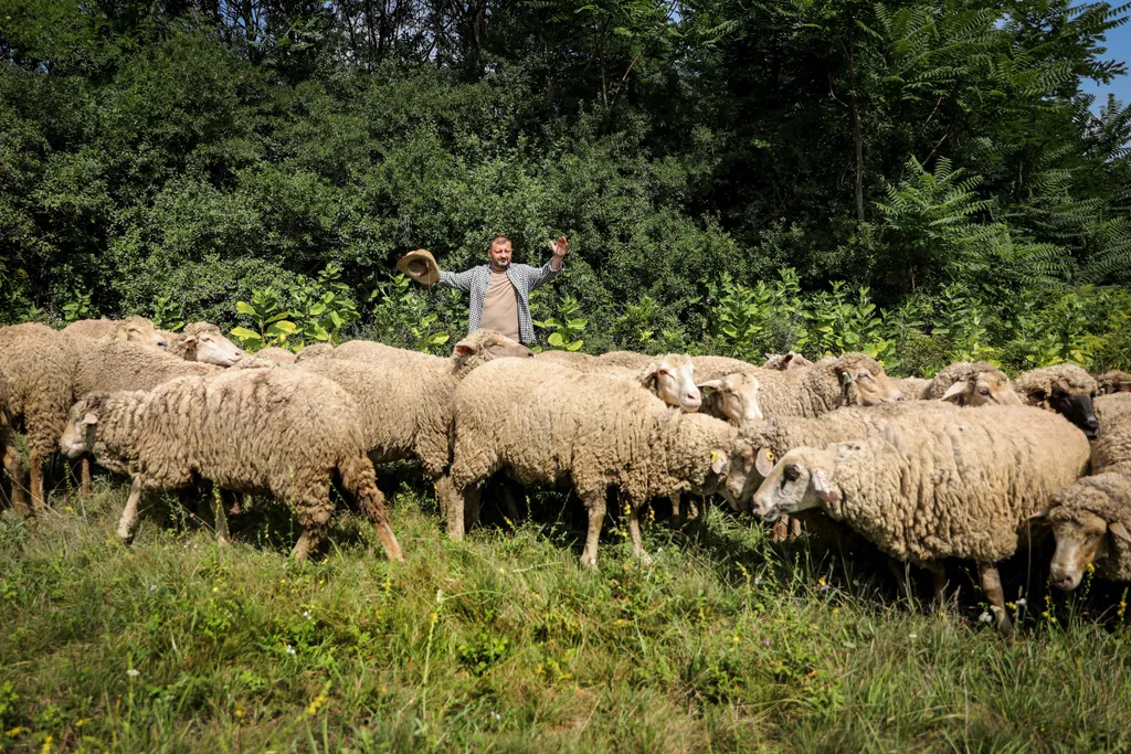 Farm VIP forgatás 2020 augusztus 19-én 