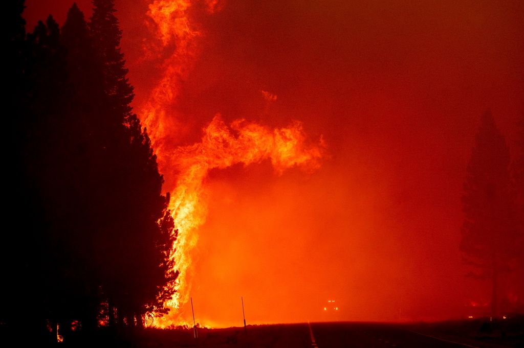 Erdőtüzek Kaliforniában, erdő, tűz, katasztrófa, erdőtűz, galéria, 2021 