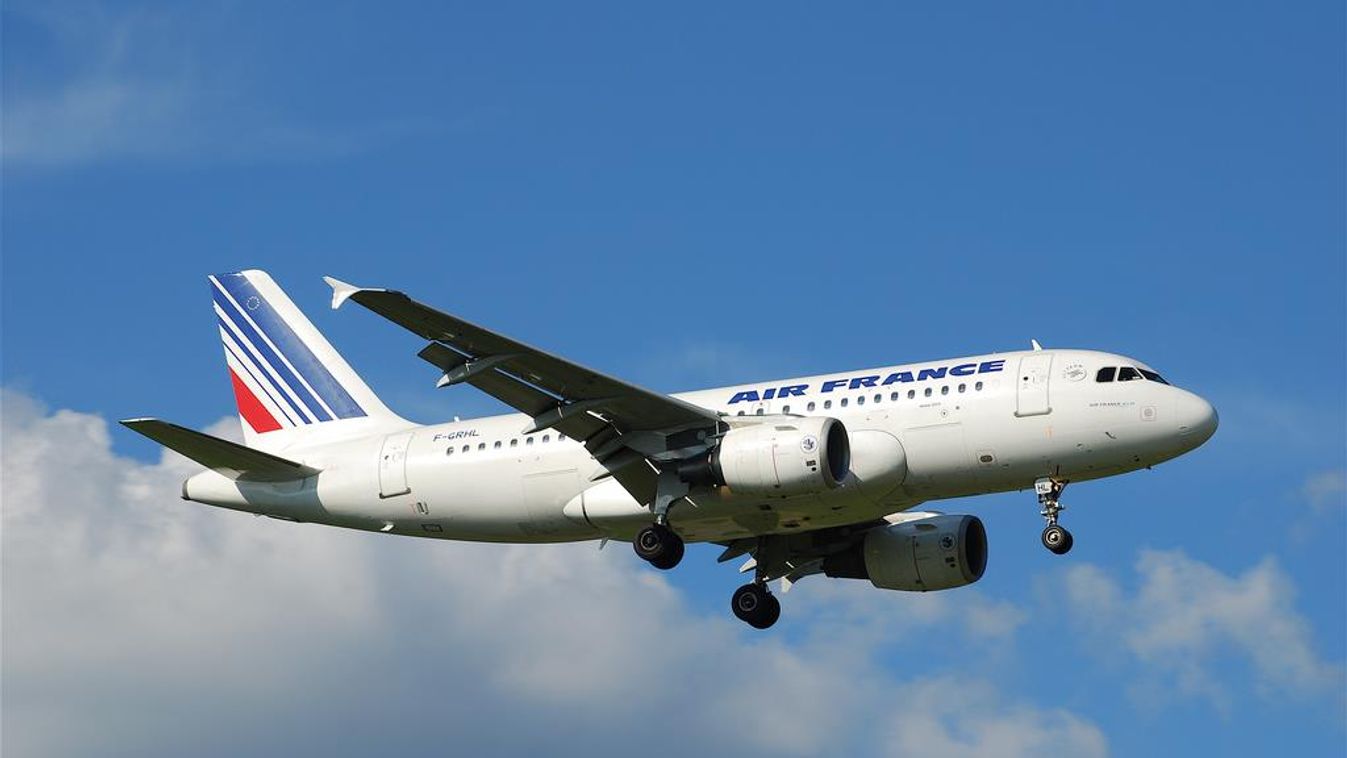 Air France Airbus A319 