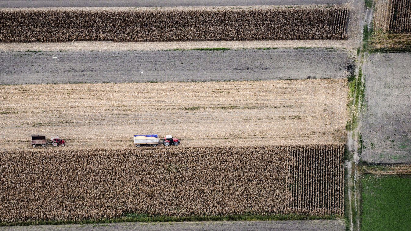föld mezőgazdaság aratás betakarít dolgozik munkagép 