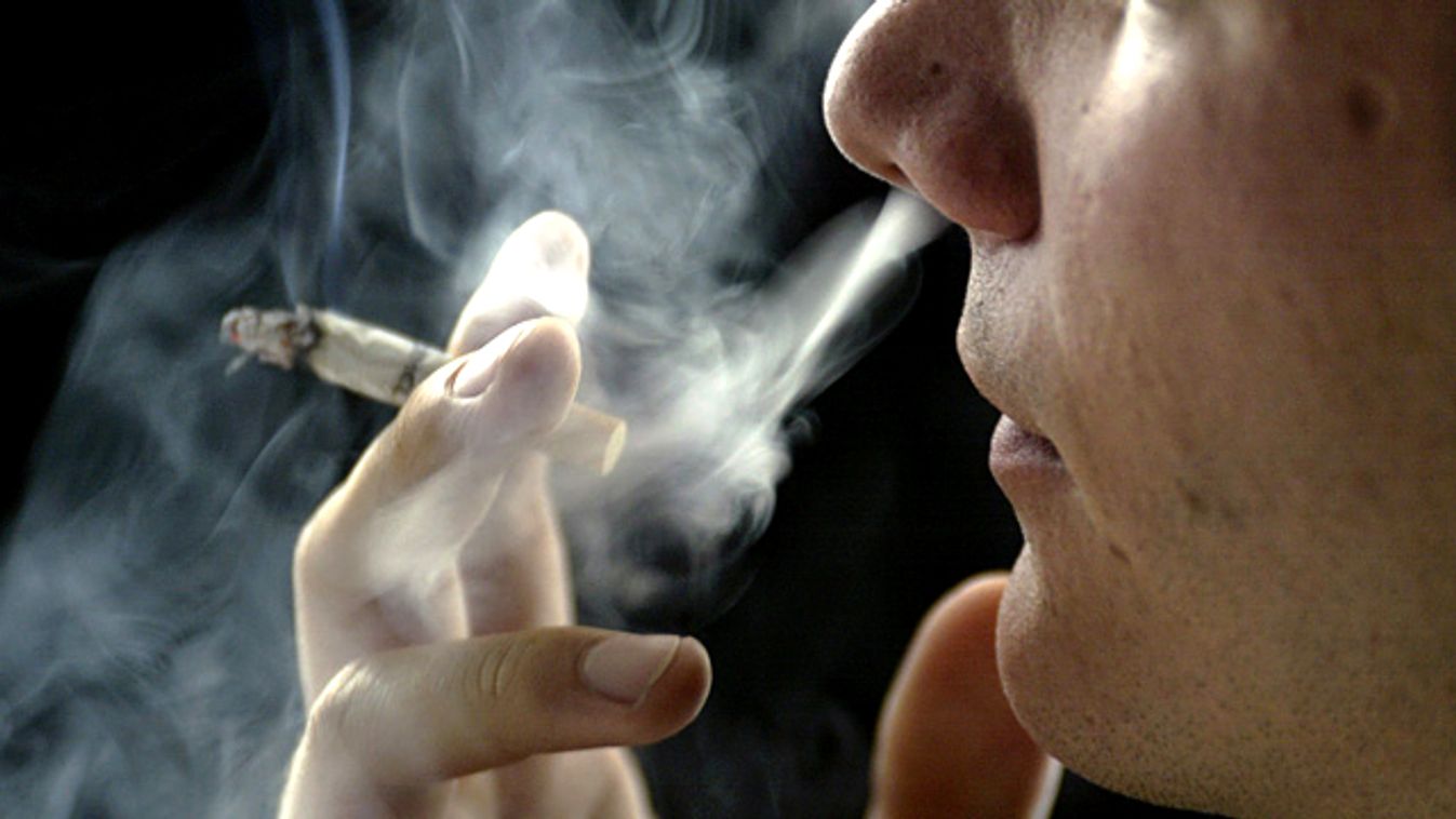 dohányzás, cigifüst, dohányfüst, cigaretta, betiltanák a dohányzást a vendéglátóhelyeken 