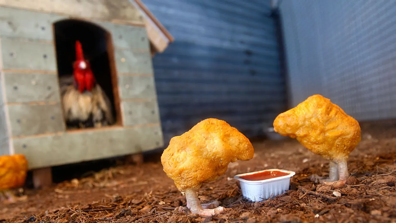 Csirkefalatok, Chicken nuggets, Banksy installációja New Yorkban