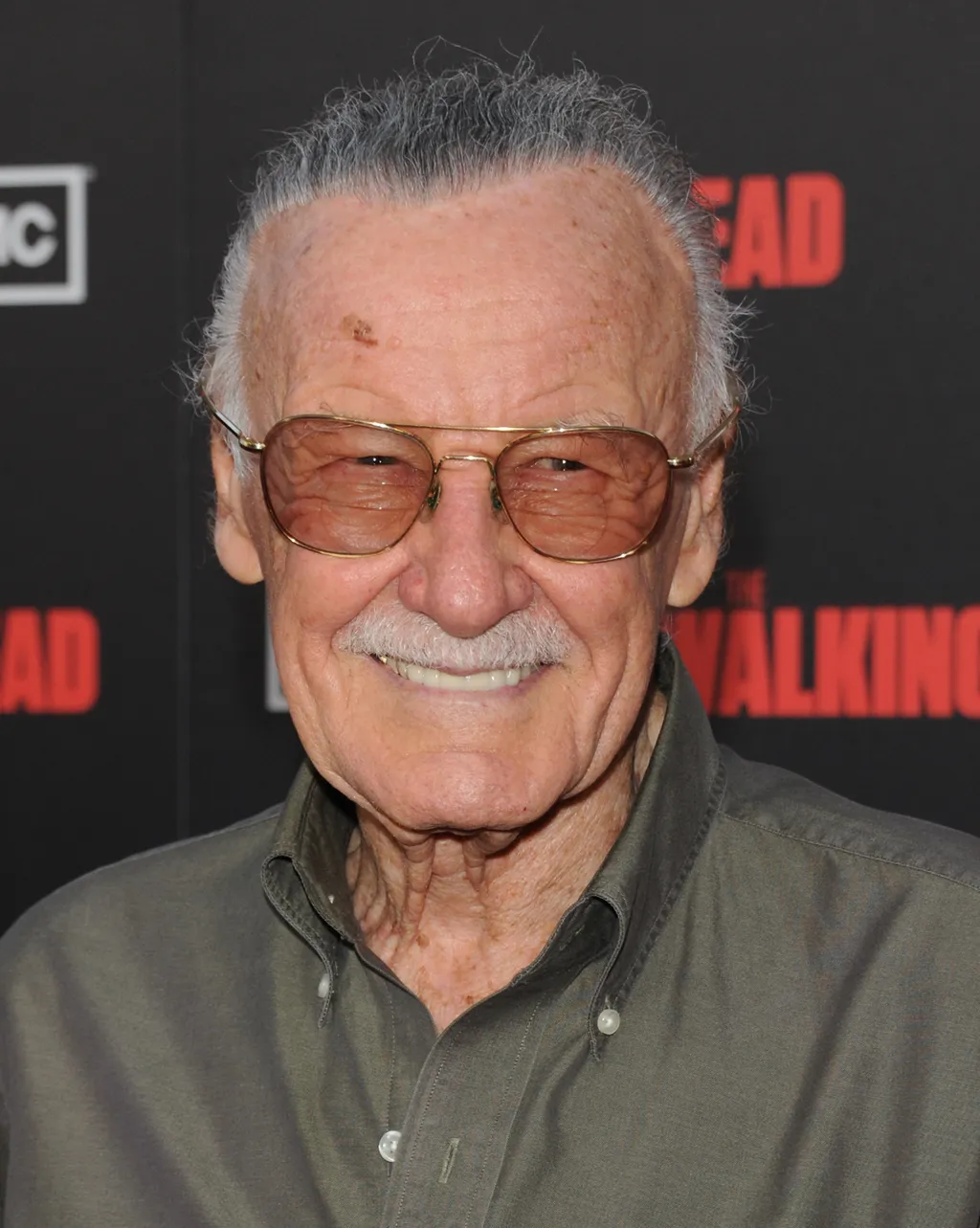 Hírességek, akik 100. születésnapjukat ünnepelték volna 2022-ben, Stan Lee 