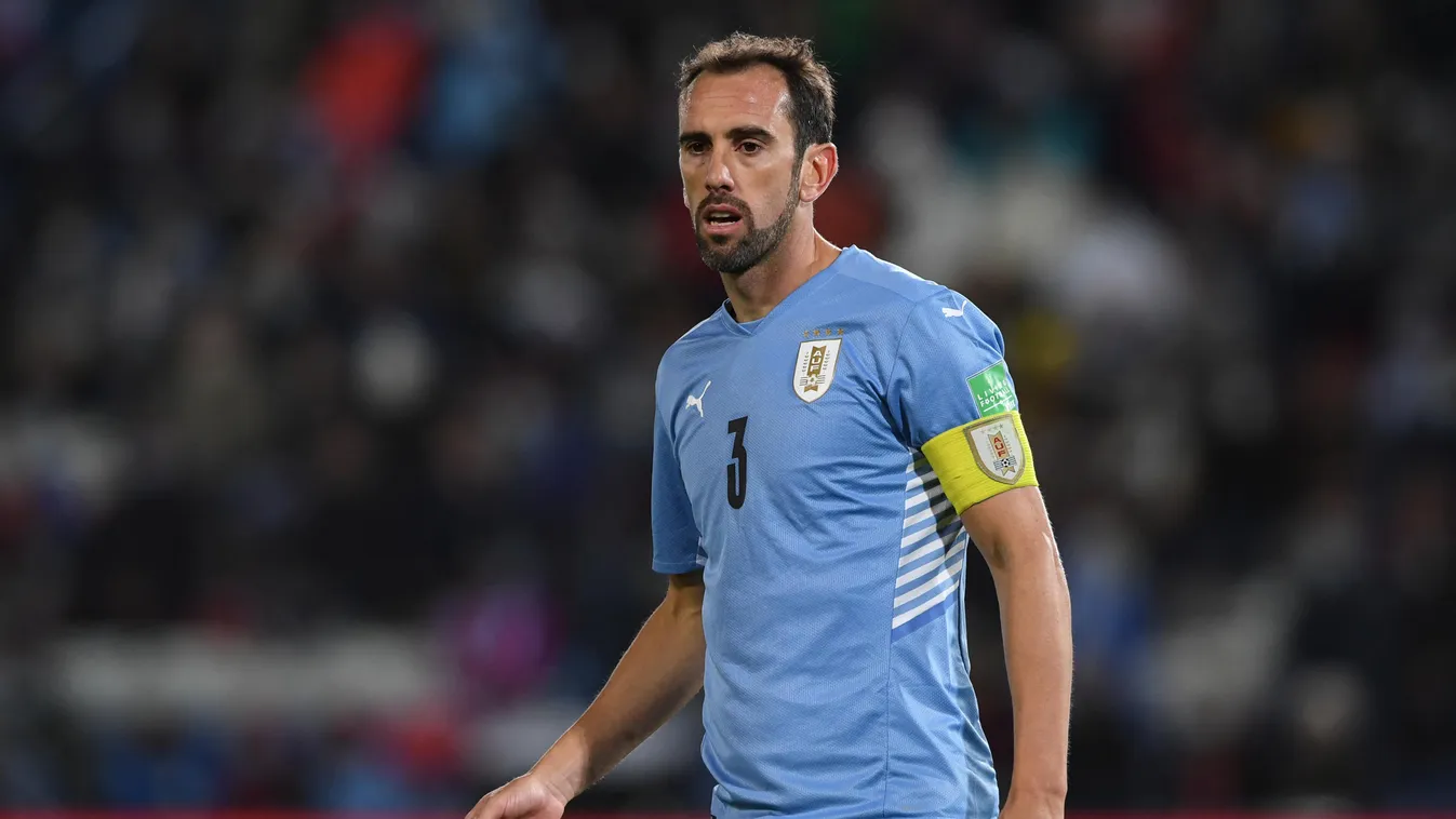 Diego Godin 