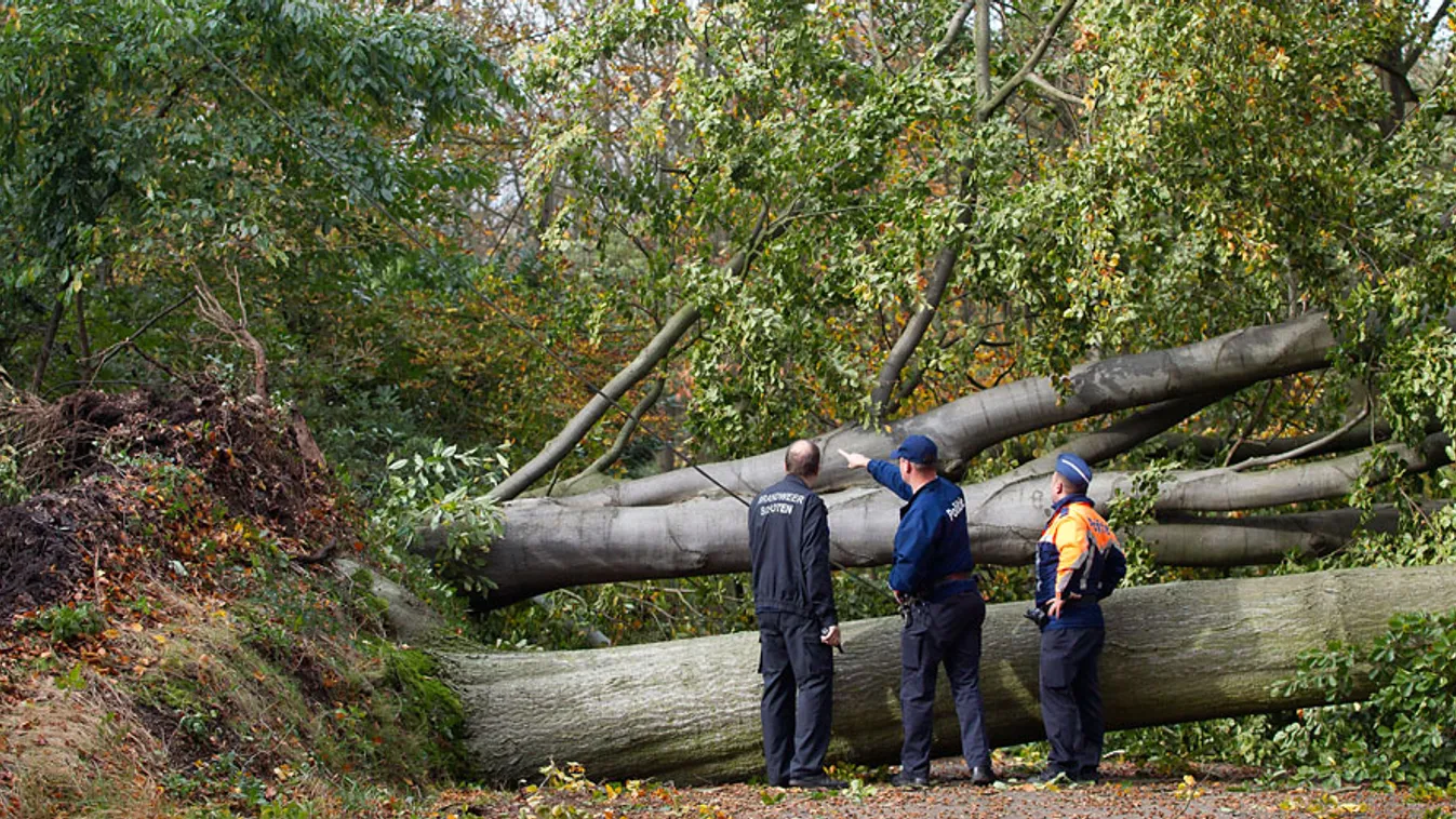 vihar Európában, rendőrök néznek egy kidőlt fát  a belgiumi Schotenben