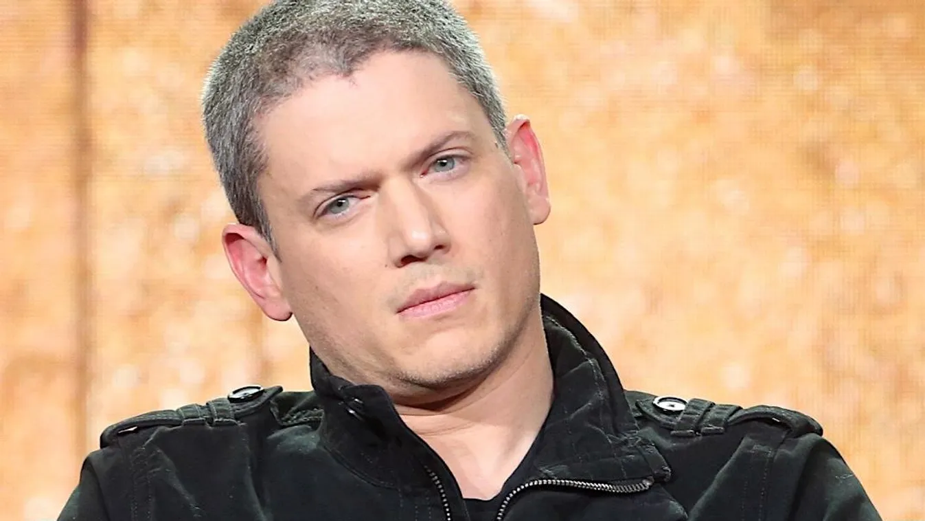 2017 Winter TCA Tour - Day 7 Arts Culture and Entertainment Celebrities Pasadena FeedRouted_NorthAmerica FeedRouted_Global topix bestof PASADENA, CA - JANUARY 11:  Actor Wentworth Miller of the television show 'Prisonbreak' speaks onstage during the FOX p
