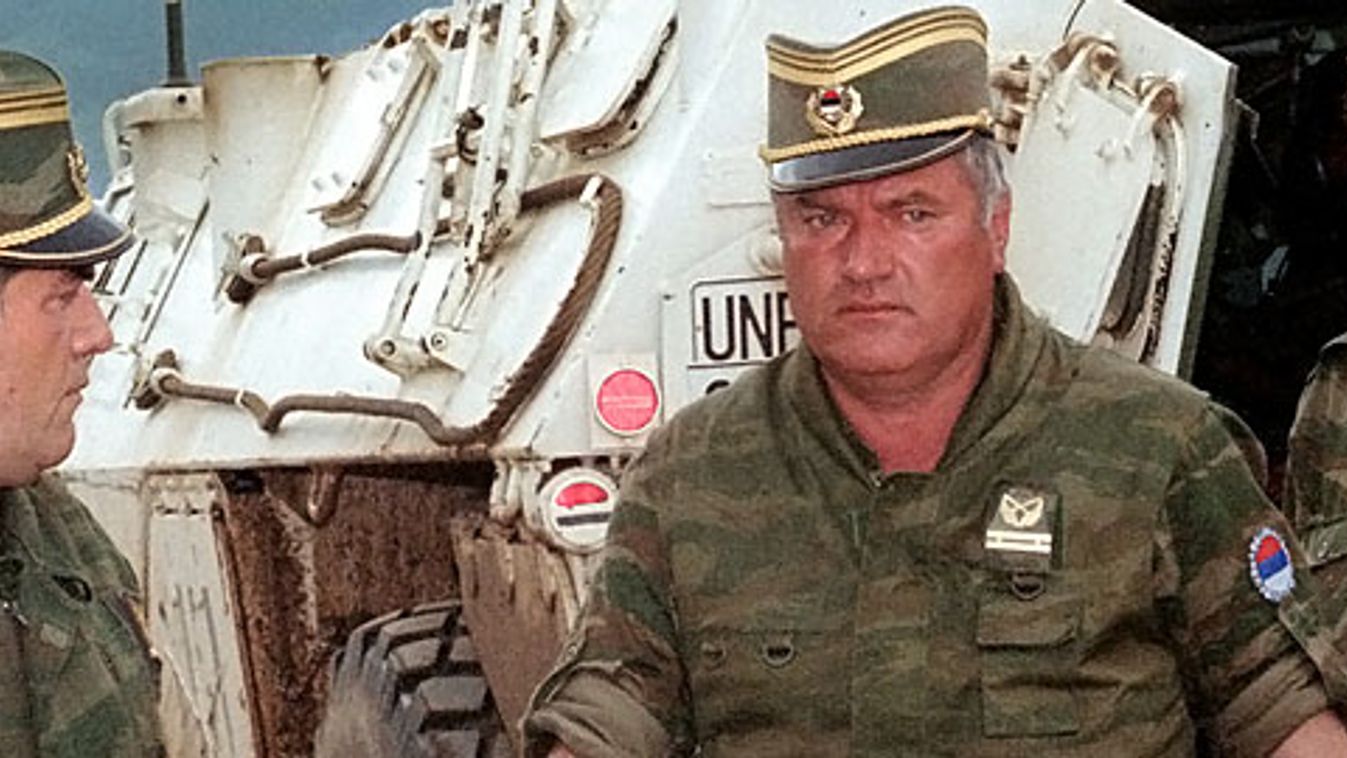 elfoghatták Ratko Mladic szerb háborús bűnös 