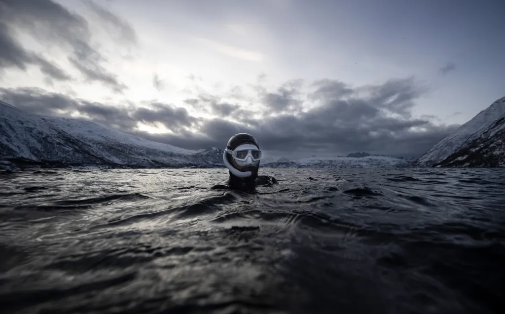 Gyilkos bálnákkal úszik ez a szabadtüdős búvár a Jeges-tengerben, galéria, 2023 