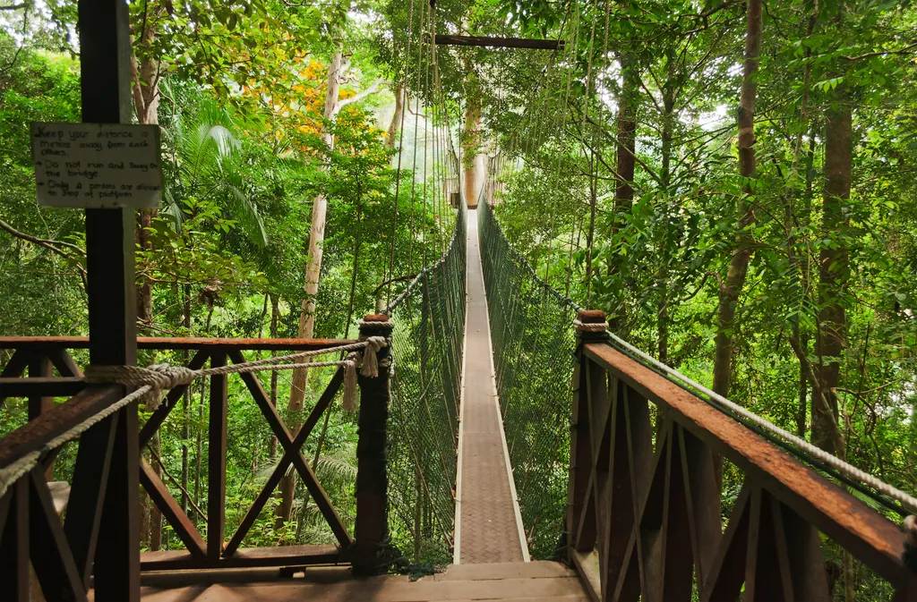 Taman Negara, nemzeti park, Malajzia-félsziget, Malajzia, Taman Negara összterülete 4343 km2, Lombhullató esőerdő, több mint 130 millió éves 