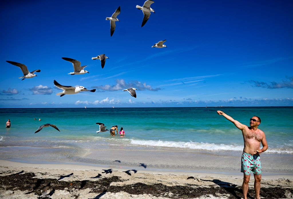 tourism Horizontal Mexikói-öböl partja Kuba, Varadero, 