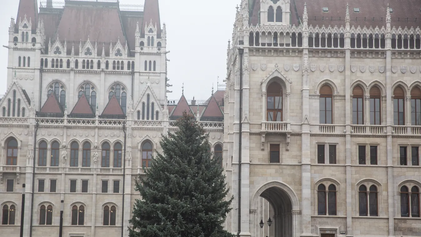 Az Ország karácsonyfája karácsonyfa karácsony parlament, fa, fenyő fenyőfa, karácsony, 