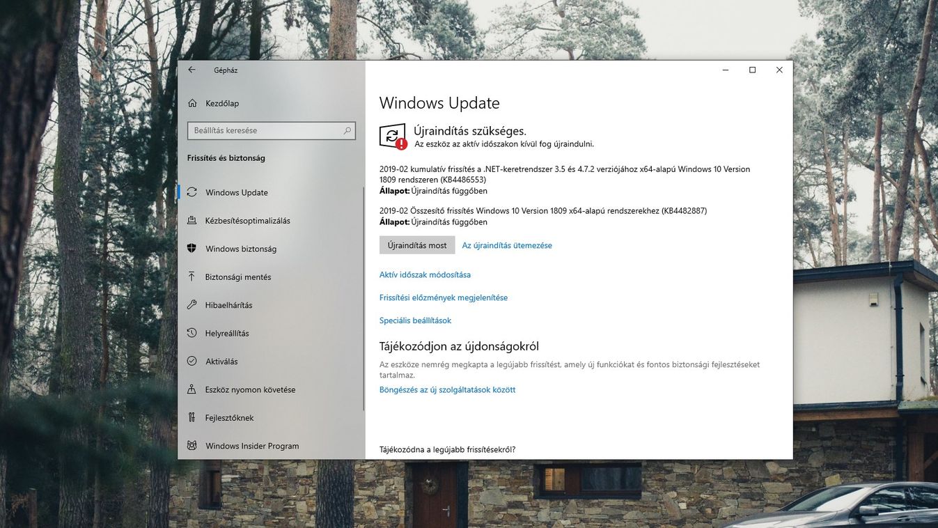 windows update retpoline kb4482887 