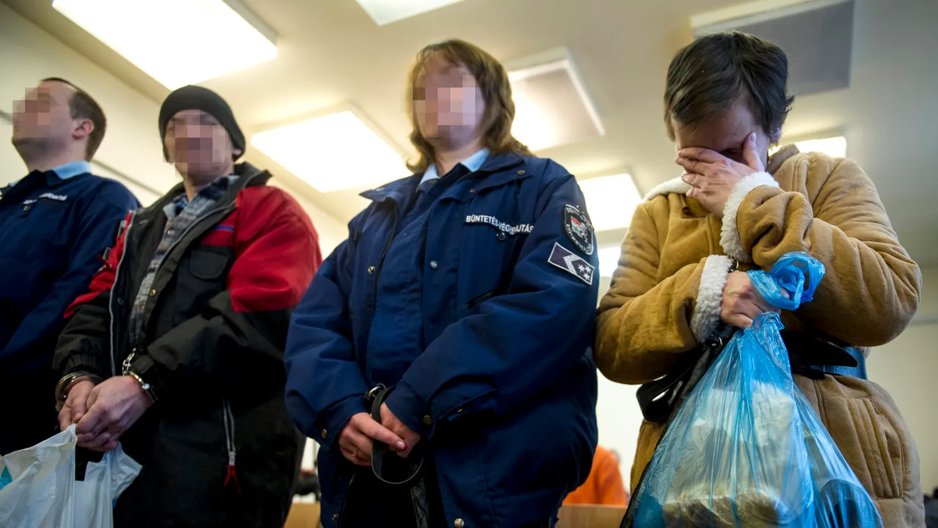 A szigetszentmiklósi gyermekbántalmazás ügye, Budapest Környéki Törvényszék 