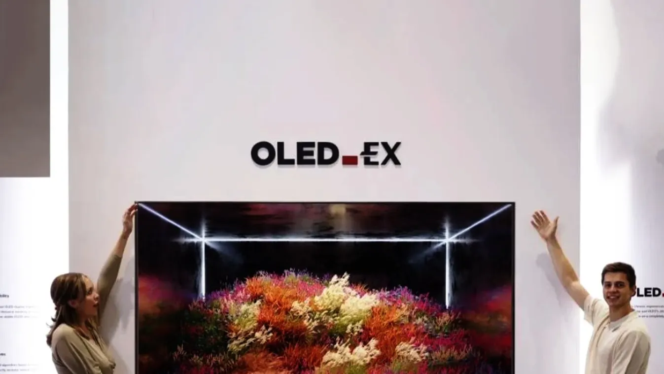 OLED.EX panel 