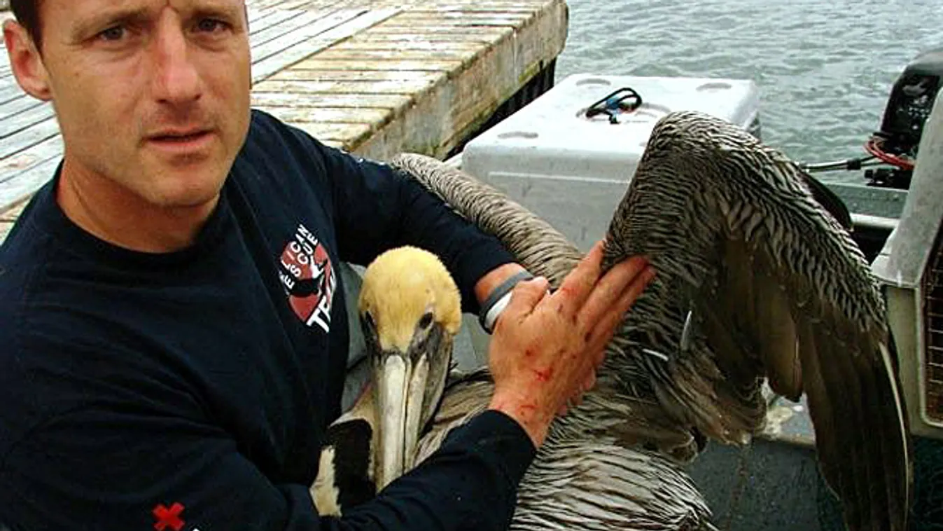 téglás zoli ignite pelikán 