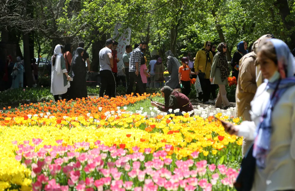 Asara Tulipán Fesztivál, virág, tavasz, tulipán, fesztivál, Asara, Irán, emberek, természet 