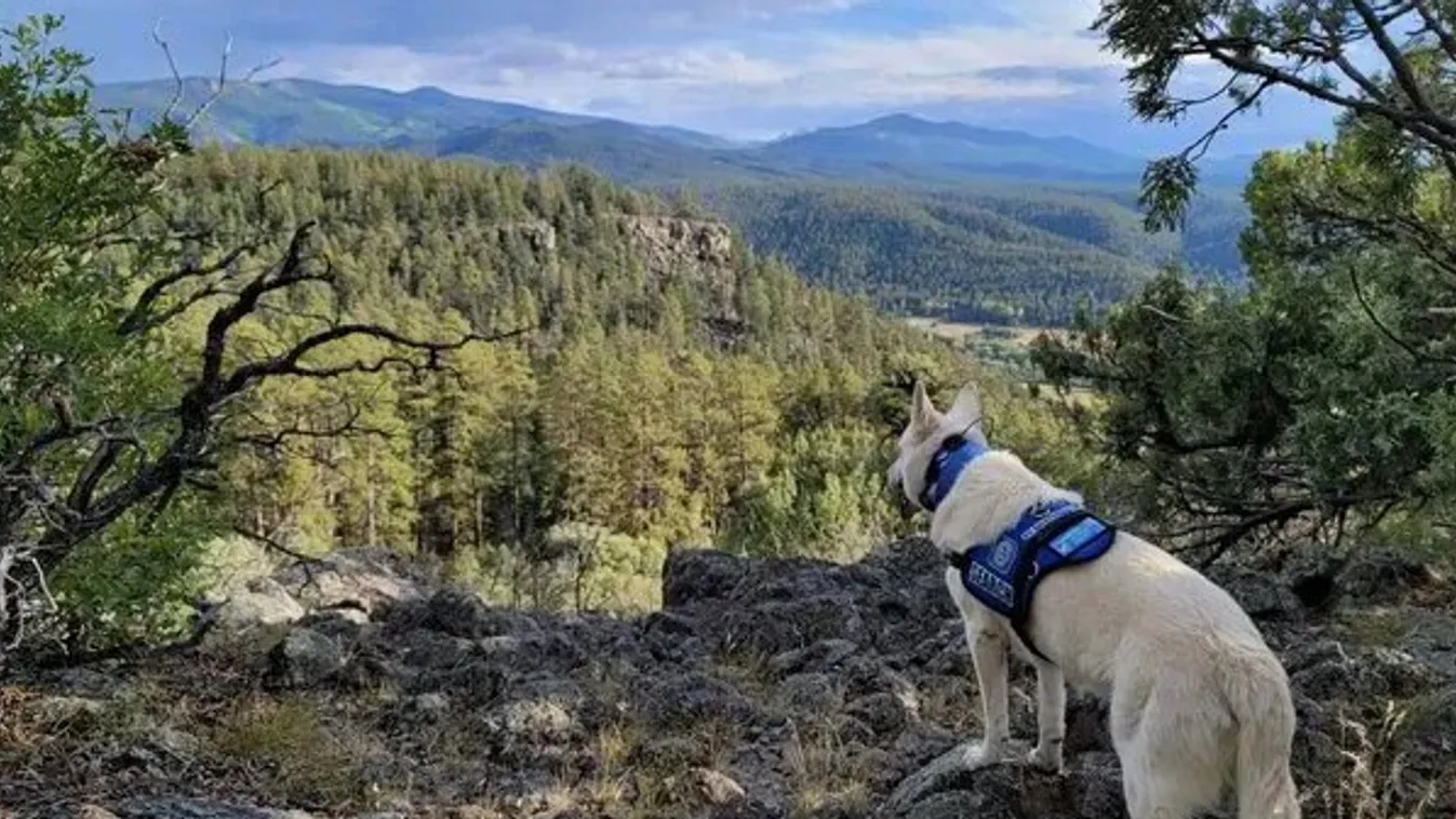 Colorado, Blackhead Peak, túrázó, kutya 