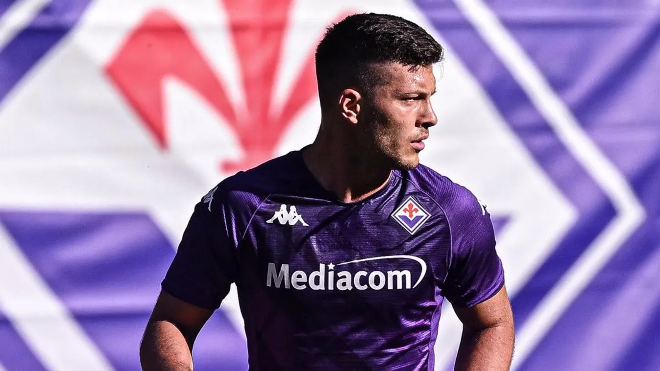 Luka Jovics, Fiorentina 