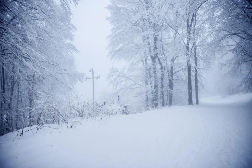 Galyatető, tél, hó, havazás, természet, erdő, Északi-középhegység, 2021.12.10. 