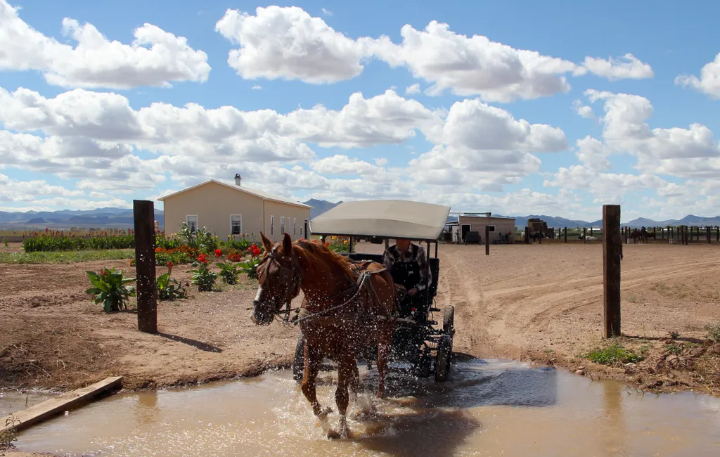 Mennoniták Mexikóban 