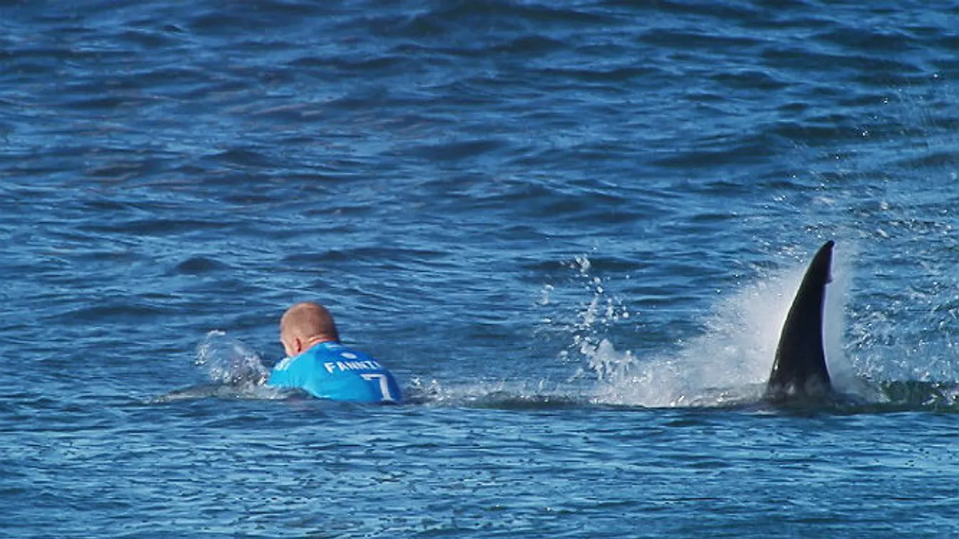 mick fanning, a szörfös, aki túlélte a cápatámadást 