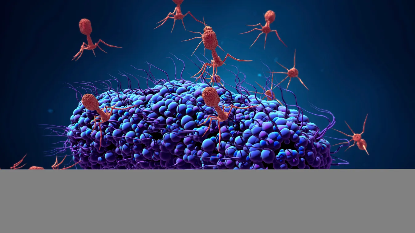 Bacteriophages infecting bacterium, illustration nobody no-one artwork digitally generated 3d 3 dimensional three background bacteria bacterial bacterium infection infected microbiology bacteriophage phage cgi microbiological viral infecting t-phage t Hor