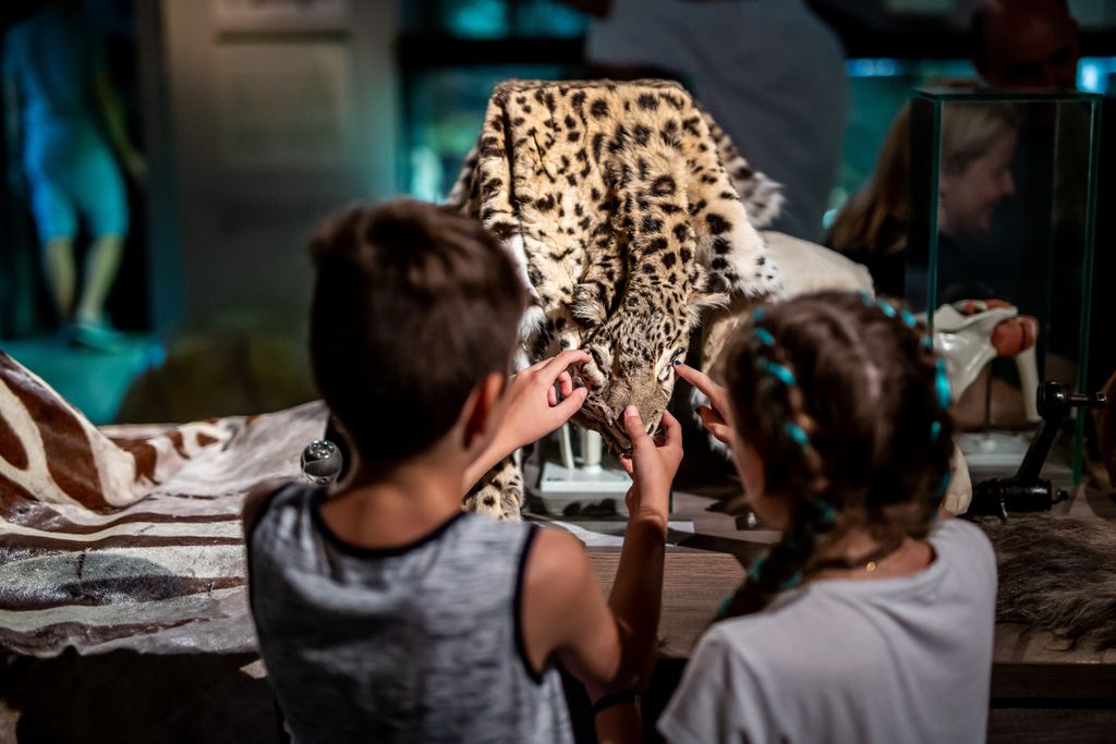 2019-ben nyolcadik alkalommal rendezik meg az Állatkertek Éjszakáját, amelyhez ebben az évben országszerte 12 település 13 állatkertje, vadasparkja, „állatos” bemutatóhelye csatlakozott. 