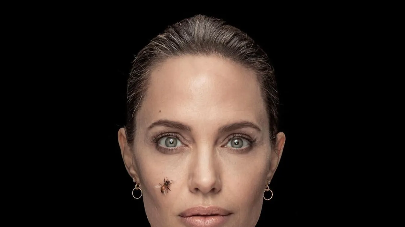 Angelina Jolie méhekkel 