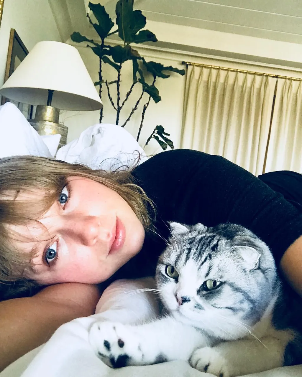 Taylor Swift állatos galéria 
