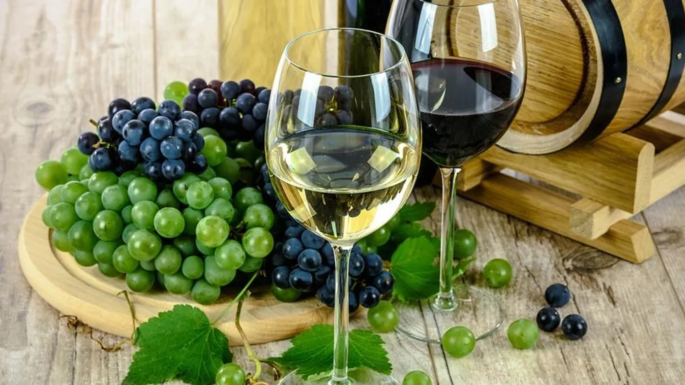 bor, szőlő 
