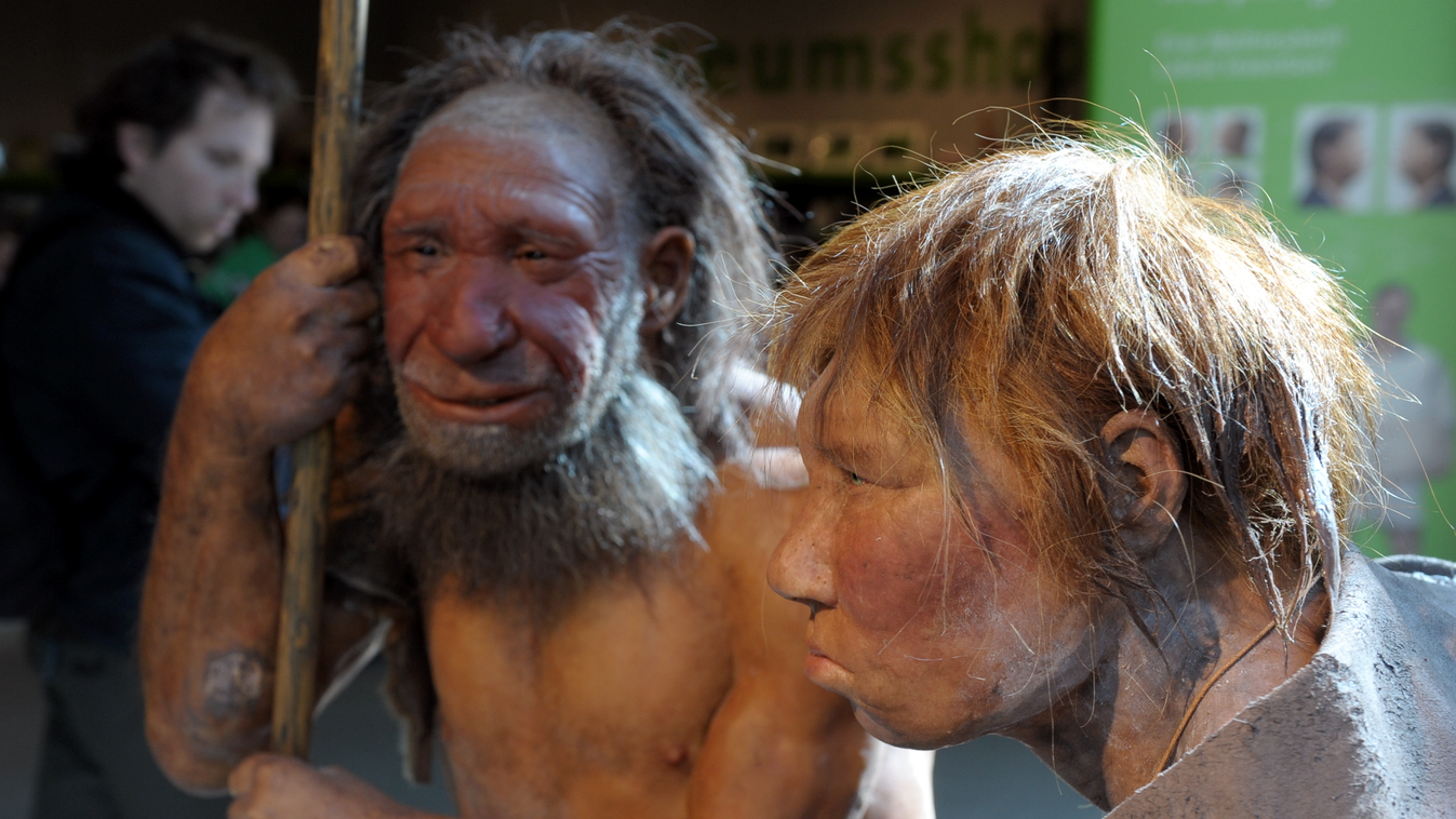 neandervölgyi Neanderthal woman in summer dress ACE ARCHAEOLOGY Arts-Culture-Entertainment facial_expression female male none RECONSTRUCTION HORIZONTAL 