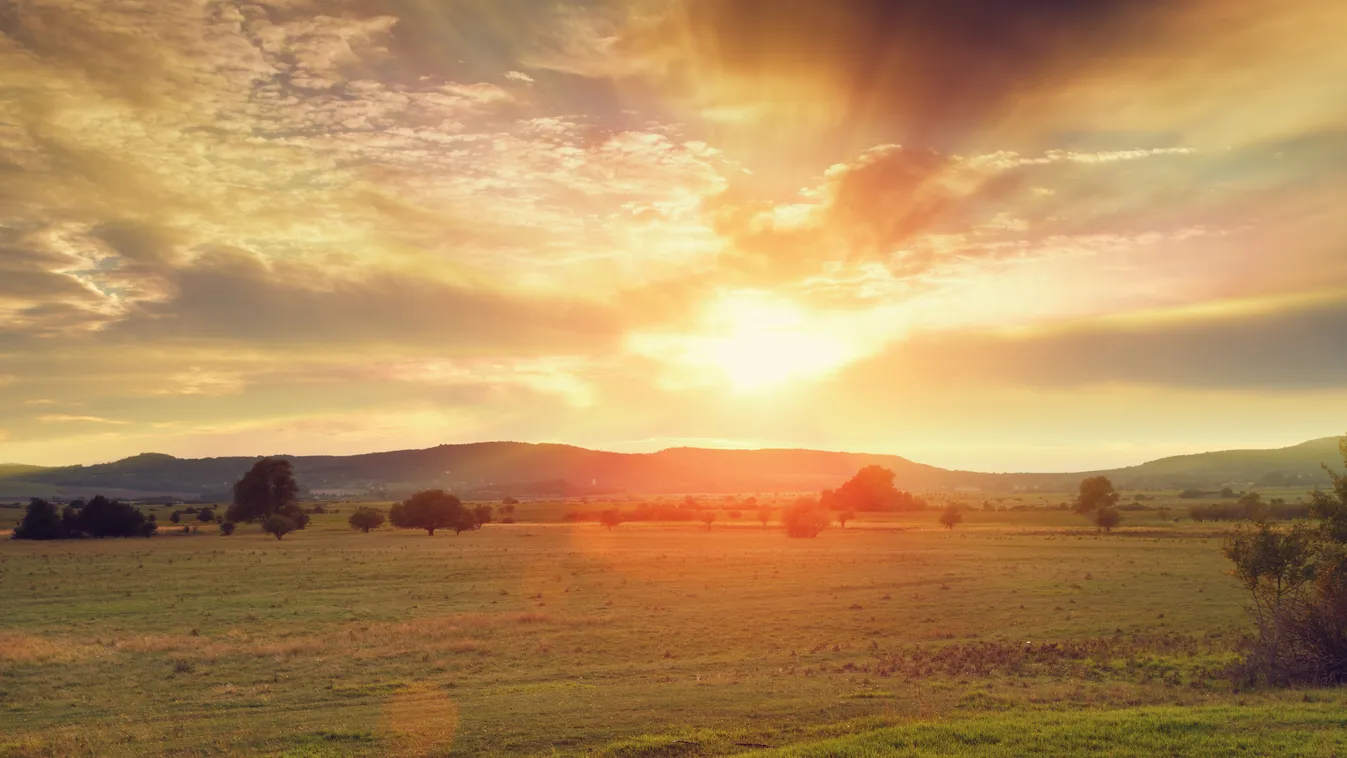 summer sunset "Dramatic Sky Cloud Cloudscape Empty Field Grass Grove Hungary Landscape Landscaped Lens Flare Moody Sky Nature Nobody Non-Urban Scene Outdoors Photography Plain Rural Scene Scenics Summer Sun" Sunbeam Sunlight Sunrise Sunset Tree Treelined 