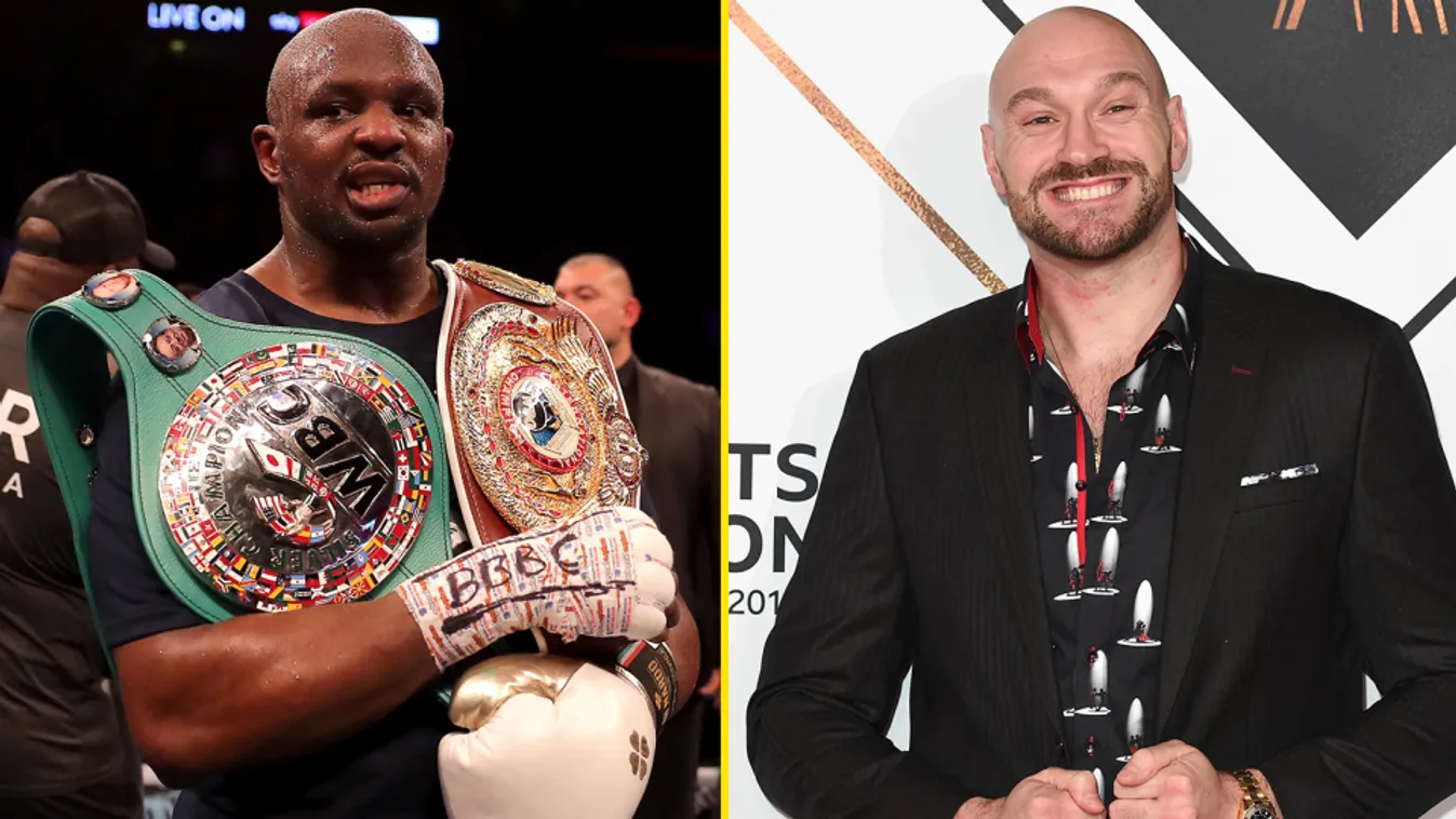 Dillian Whyte, Tyson Fury 