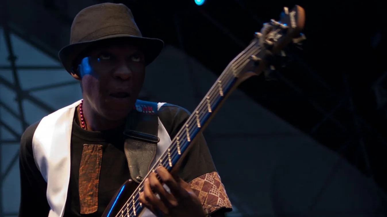 Mokoomba, Sziget 2013