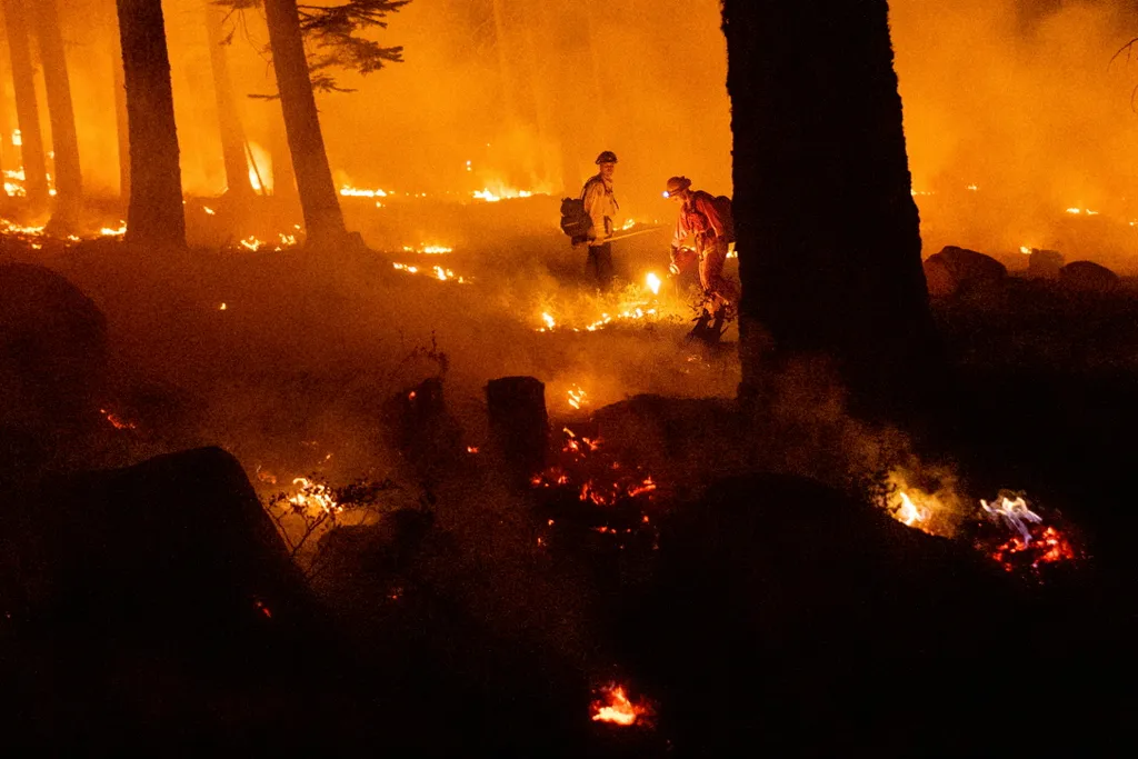 Erdőtüzek Kaliforniában, erdő, tűz, katasztrófa, erdőtűz, galéria, 2021 
